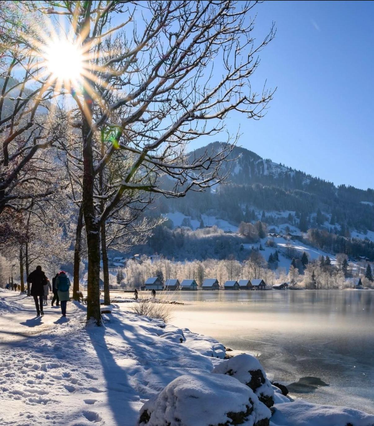Gemuetliche Ferienwohnung Mit Berg Und Alpsee Panorama Im Allgaeu Immenstadt im Allgäu Extérieur photo